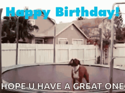 Birthday GIF