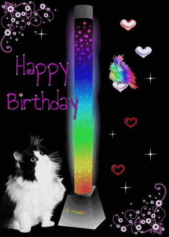 Birthday Wishes Birthday Cat Gif GIF