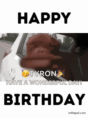 Birthday Wishes Birthday For Dog Lovers GIF