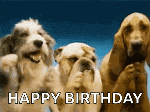 Birthday Wishes Happy Birthday GIF