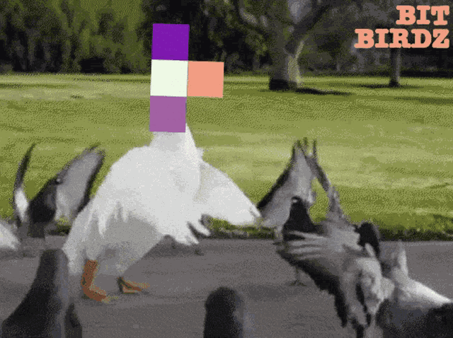 Bit Birdz Bit Wormz GIF