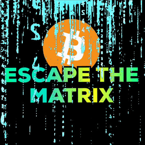 Bitcoin Bitcoin Mango GIF
