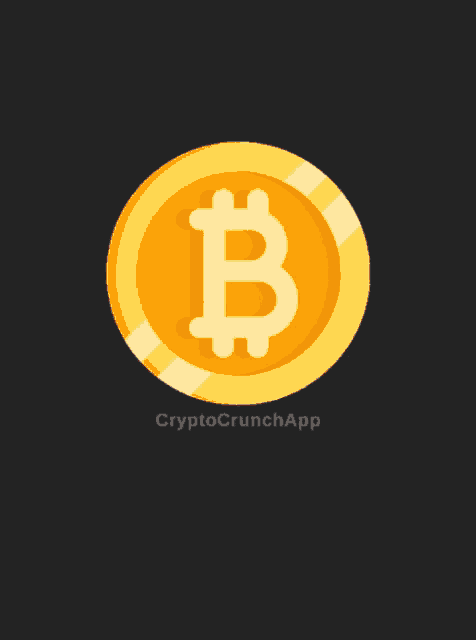 Bitcoin Bitcoin Price GIF