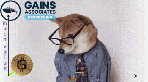 Bitcoin Blockchain GIF