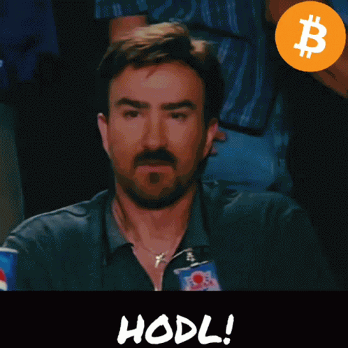 Bitcoin Hodl GIF