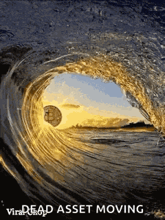 Bitcoin Wave GIF