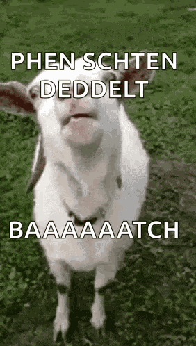 Bla Bla Bla GIF