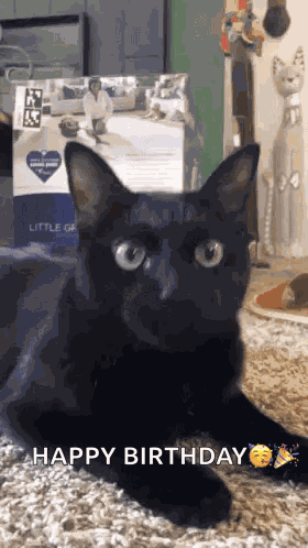 Black Cat Birthday Hat GIF