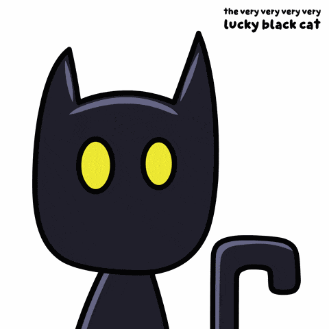 Black Cat Black Kitty GIF