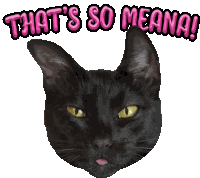 Black Cat Blep Black Cat Funny Sticker