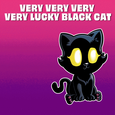 Black Cat Create GIF