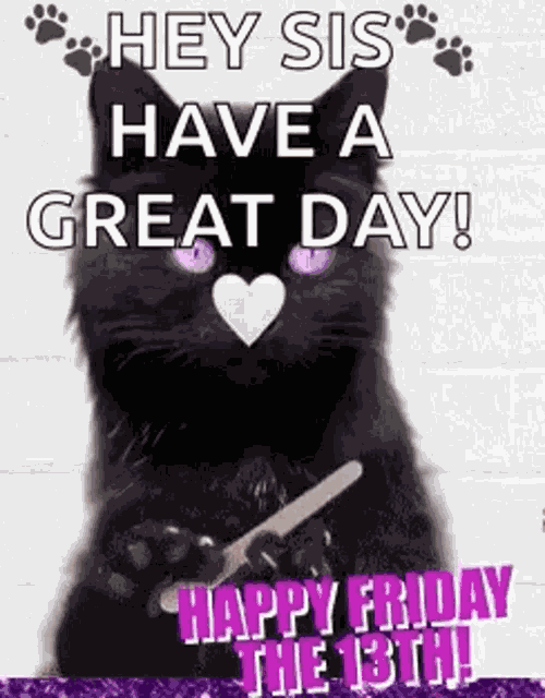 Black Cat Friday GIF