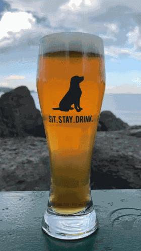 Black Lab Brewing Craft Beer GIF