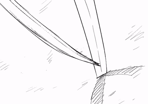 Black Star Mifune GIF