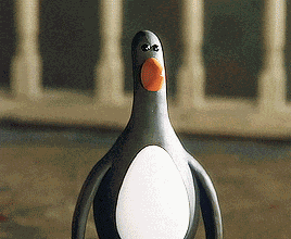 Blank Stare Wallace And Gromit GIF