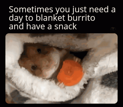 Blanket Burrito Blanket GIF