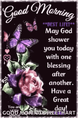 Blessed Day Good Morning GIF