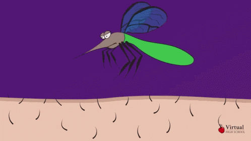 Blood Mosquito Bite GIF