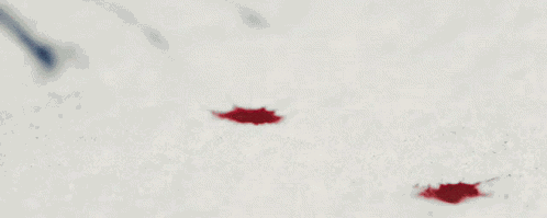 Blood Snow GIF