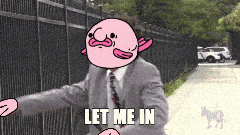 Blub Coin Avalanche GIF