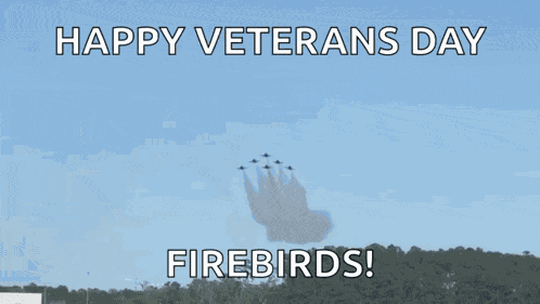 Blue Angels Navy Jets GIF