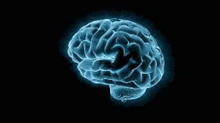 Blue Brain GIF
