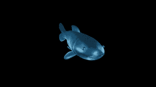 Blue Fish Spinning GIF