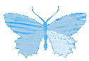 Blue Shining Butterfly Sticker