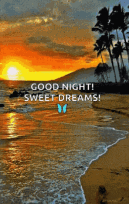 Bluebutterfly Goodnight GIF
