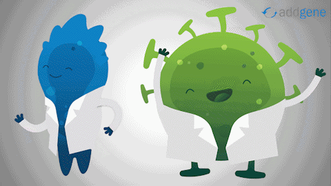 Blugene Aavery GIF