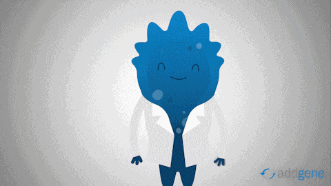 Blugene Construction GIF