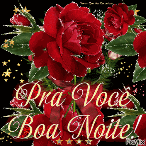 Boa Noite Rosas Brilhantes Lindas GIF