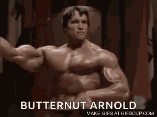 Bodybuilder Bodybuilding GIF