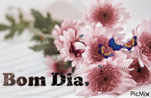 Bom Dia Good Day GIF
