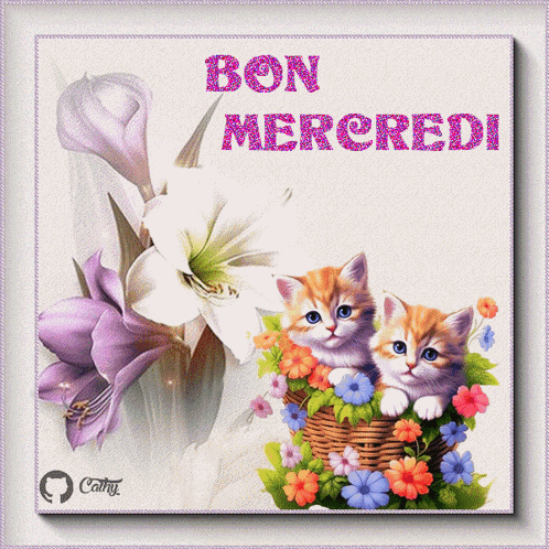 Bon Mercredi GIF