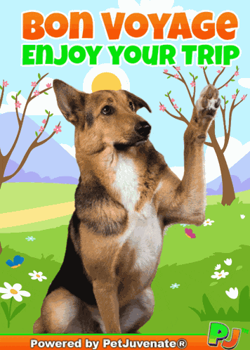 Bon Voyage Vacation Pj Petjuvenate Pj Funny Dog Gif Pet Caretakers Kennel Boot Camp Boarding GIF