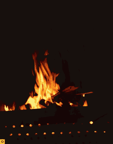 Bonfire GIF