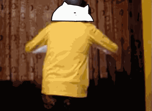 Bongocatsolana Bongosolana GIF