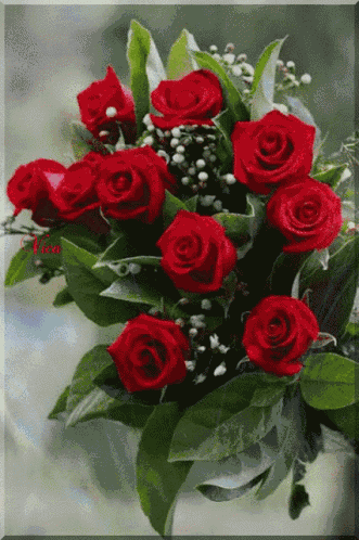 Bonjour GIF