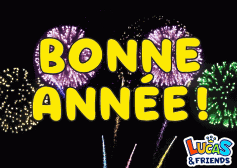 Bonne Année Bonne Annee GIF