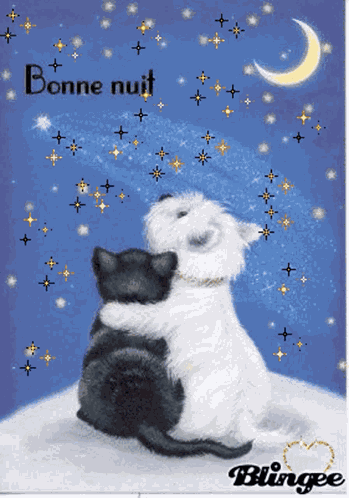Bonne Nuit Goodnight GIF