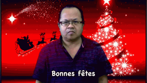 Bonnes Fetes Noel Annee Lsf Usm67 GIF