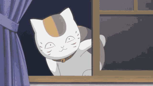 Book Of Friends Cat GIF