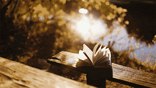 Book Sun GIF