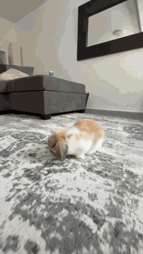 Boooiiiiiinnngg Hello Friend GIF