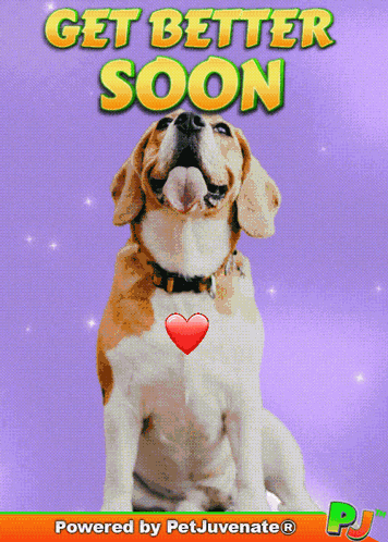 Boop Bork Blep Boof And Hound Dog Dog Lingo Shippin Or Trippin Pawz GIF