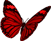 Borboletas Butterflies Sticker