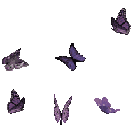 Borboletas Butterflies Sticker
