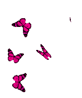 Borboletas Butterflies Sticker