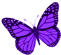 Borboletas Butterfly Sticker